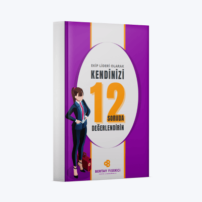 12sorudadegerlendir