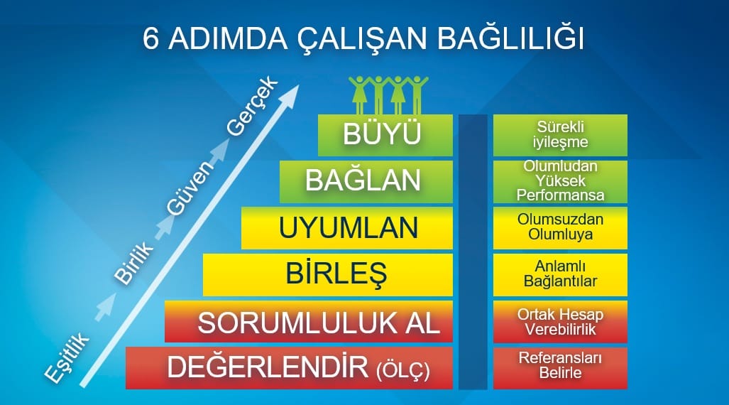 6 adimda baglilik