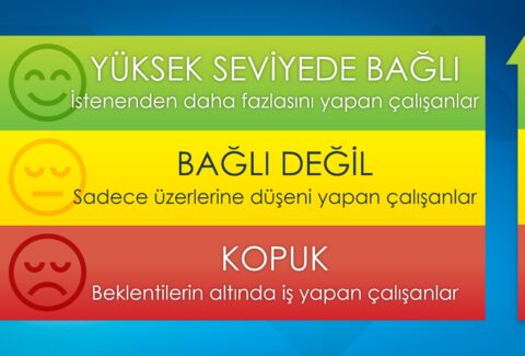 baglilik-gruplari-tc3bcrkce