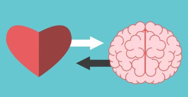 brain-heart