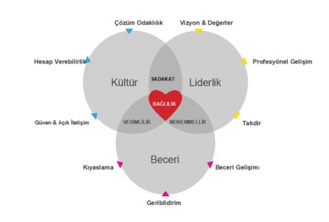high-performance-teams-tc3bcrkc3a7e