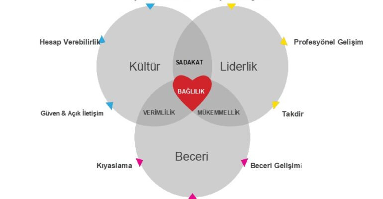 high-performance-teams-tc3bcrkc3a7e