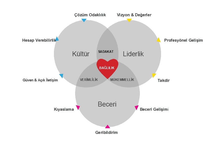 High performance teams türkçe