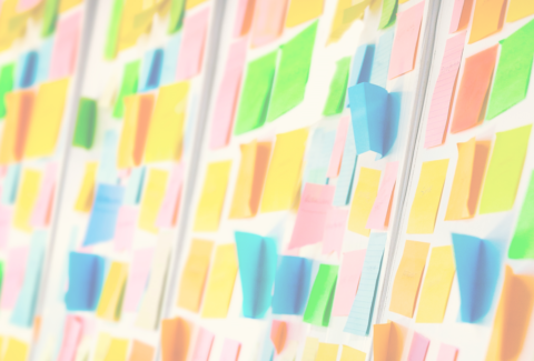 performans gorusmesi - baglilik