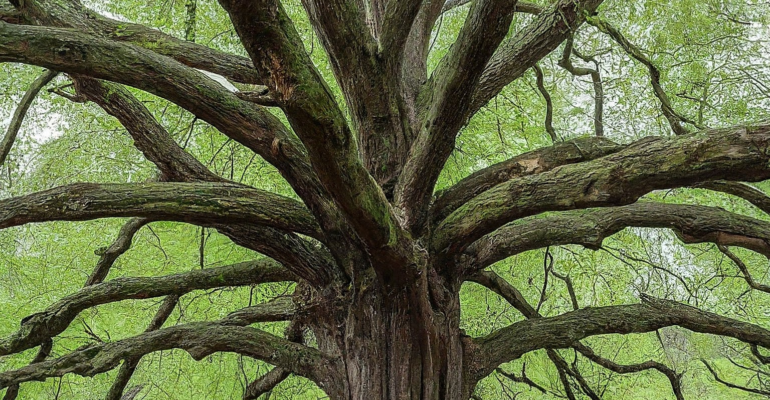 Gemini_Generated_Image