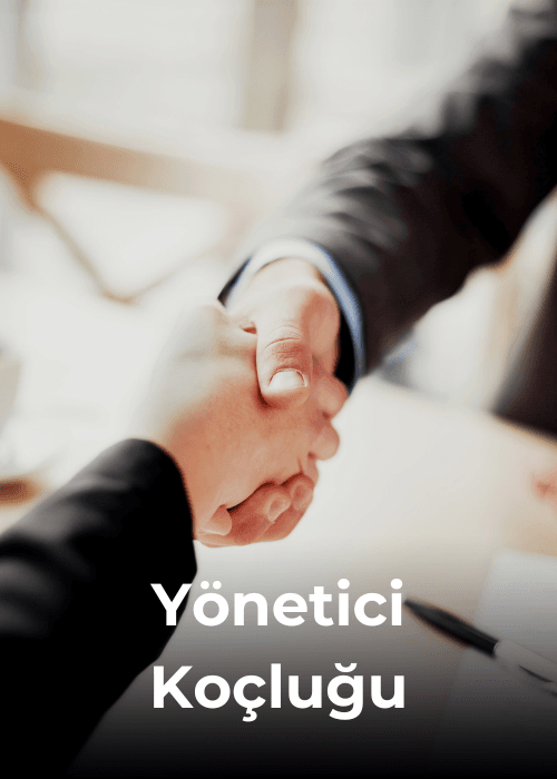 Yönetici Koçluğu