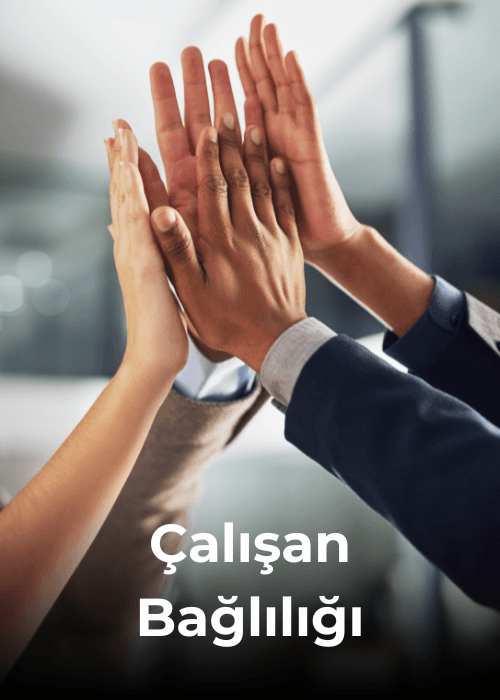 Çalışan Bağlılığı